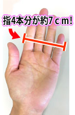アンドロペニス,最安値,格安