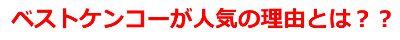 DHEA,デハー,サプリ,飲み方,通販
